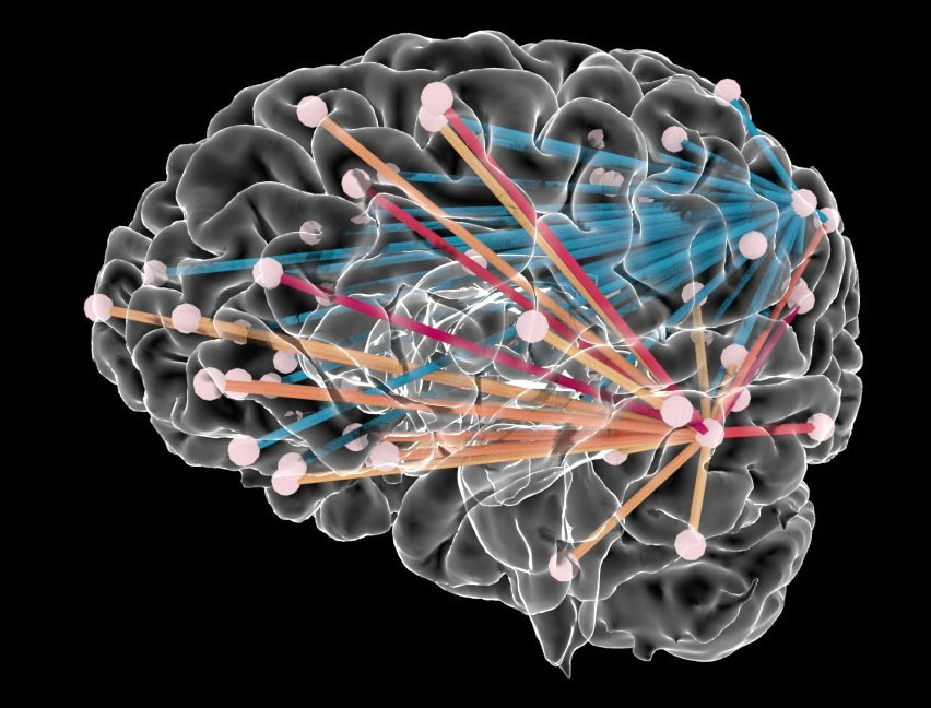Brain connectivity 3D rendered brain